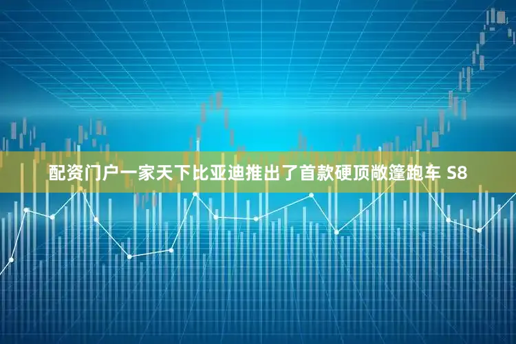 配资门户一家天下比亚迪推出了首款硬顶敞篷跑车 S8