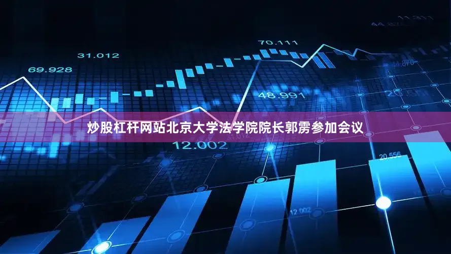 炒股杠杆网站北京大学法学院院长郭雳参加会议