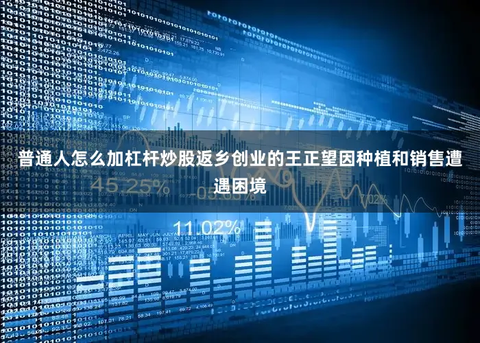 普通人怎么加杠杆炒股返乡创业的王正望因种植和销售遭遇困境