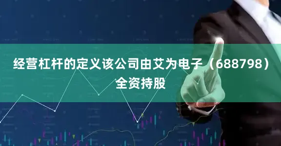 经营杠杆的定义该公司由艾为电子（688798）全资持股